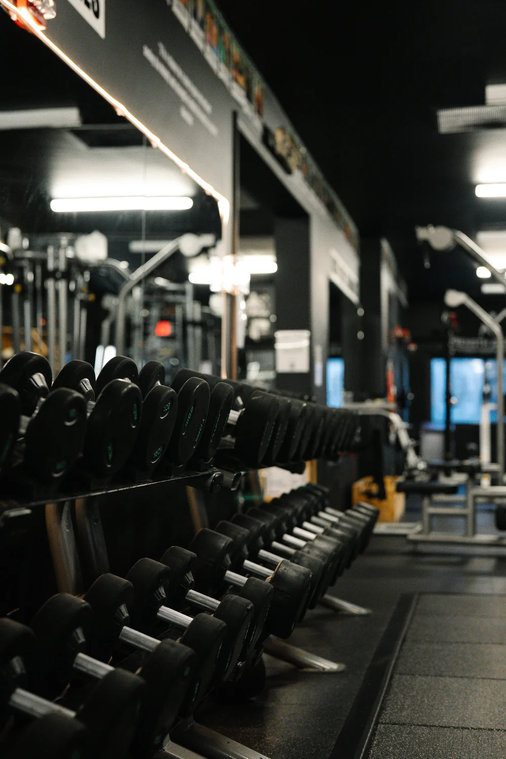 Clean BullfrogFit training space for members