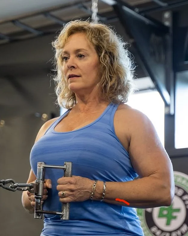 Terri Cicchelli